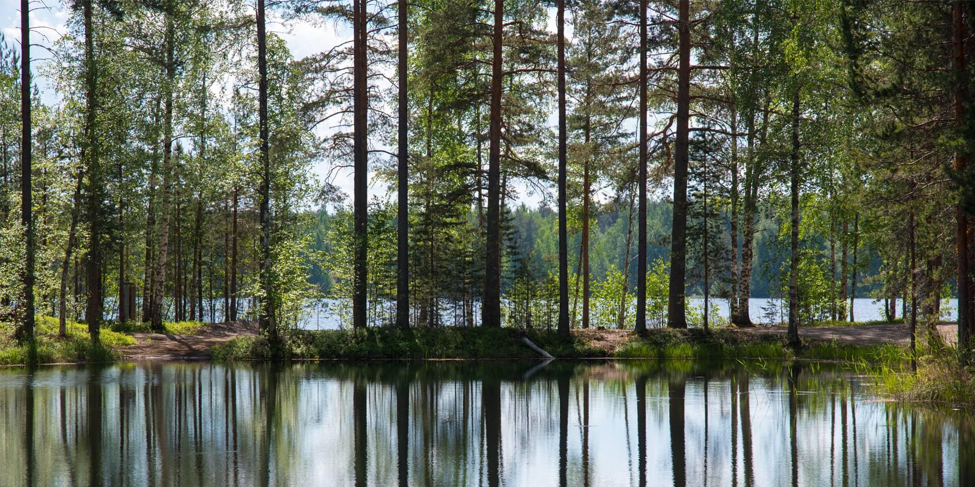 Finsk skov | Lær finsk i FOF Aarhus