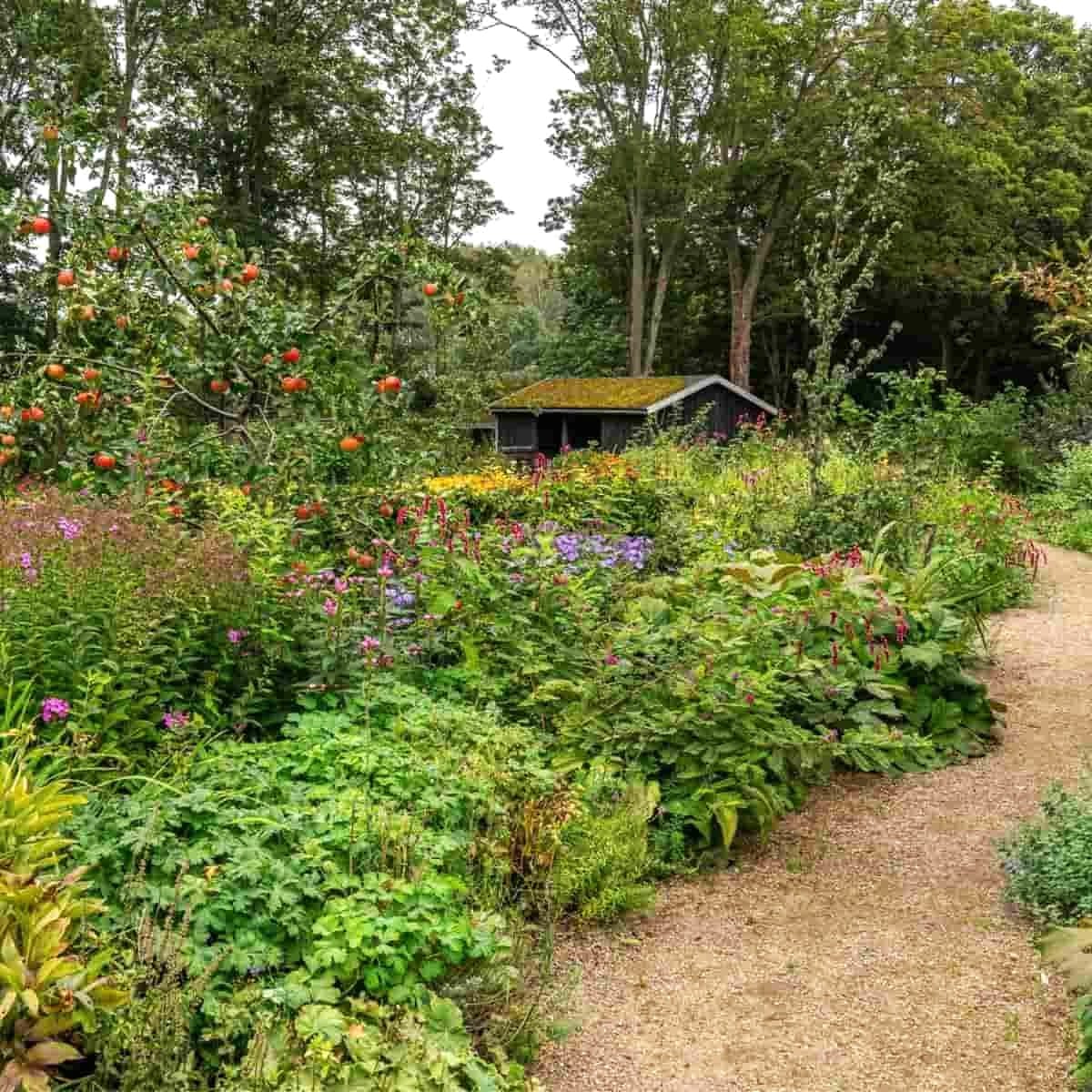 Frodig have med æbler og blomster