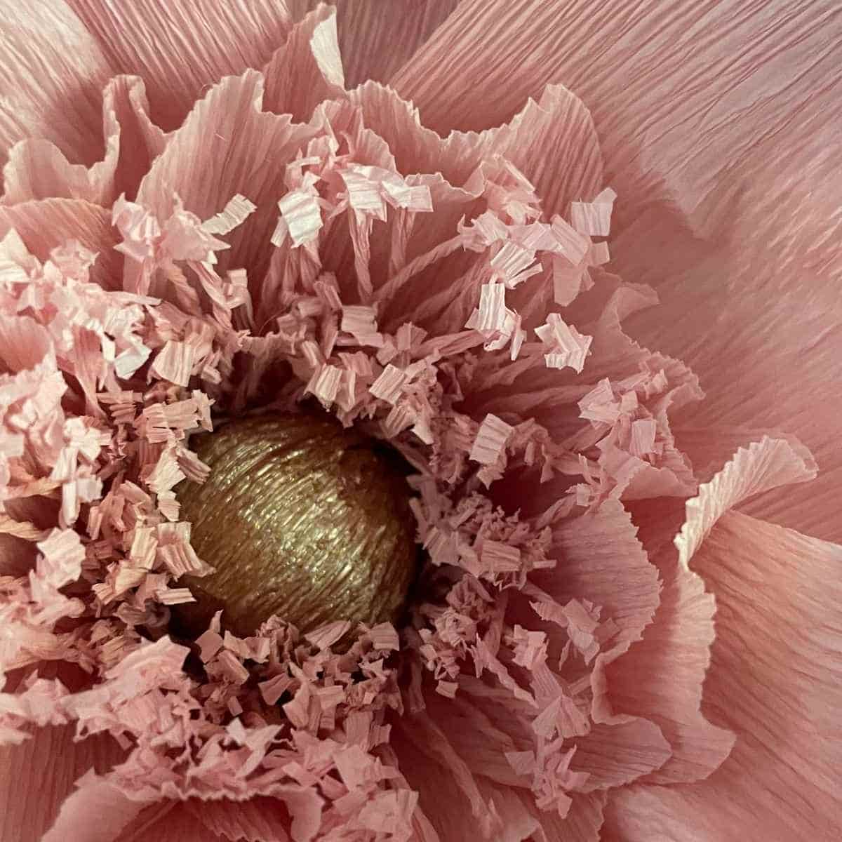 Nærbillede af papirblomst