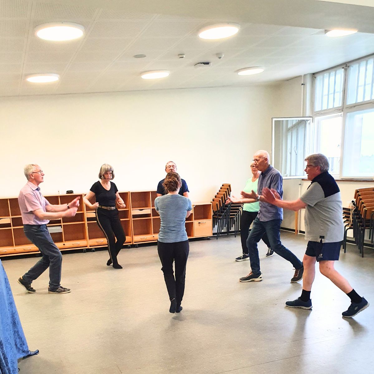 der danses SANS - sang og dans