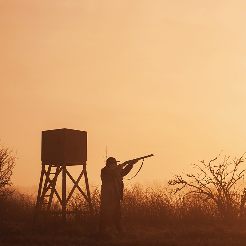 Jagttegn og Vildtpleje med FOF Djursland