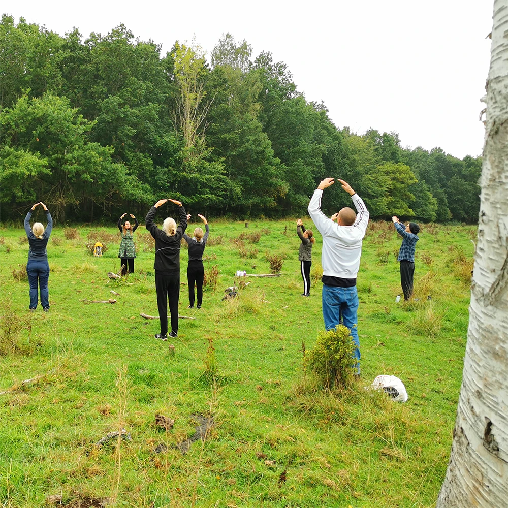 Billede af mennesker der dyrker Qi Gong