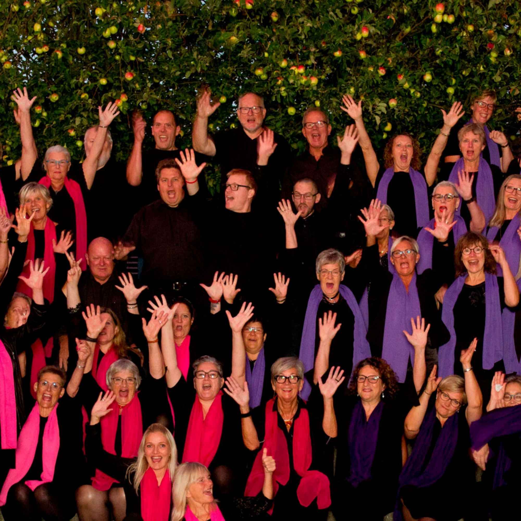 FOF koret the Gospellers øver i Esbjerg