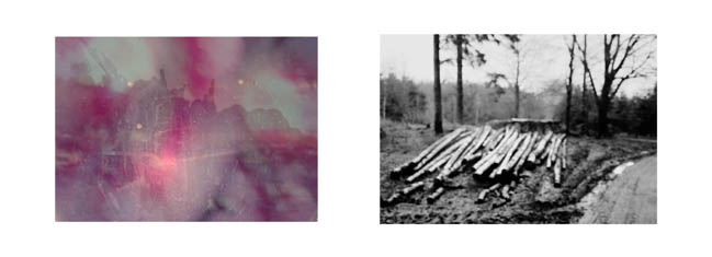 Kursist fotograferer på en kreativ fototur under et kunstfotograferingskursus hos FOF Kbh