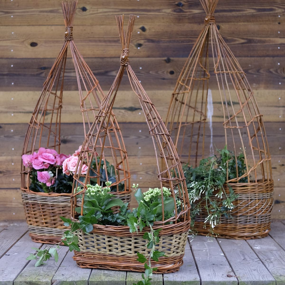 Pilefletskurve med blomster