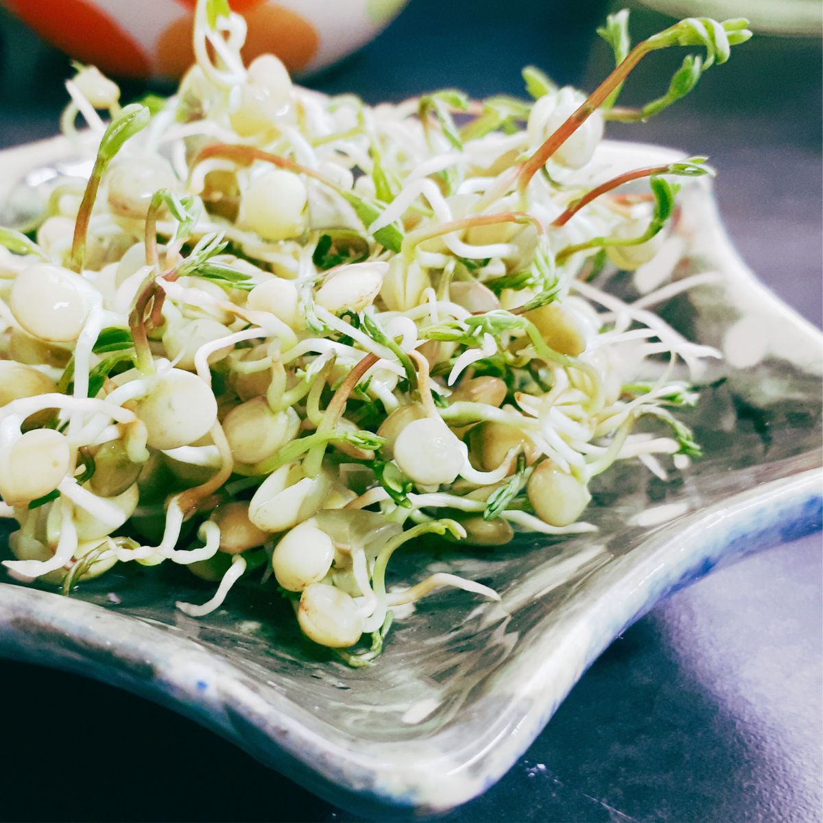 Deltager tilbereder en grøn ret med linser og bønner under madlavningskursus