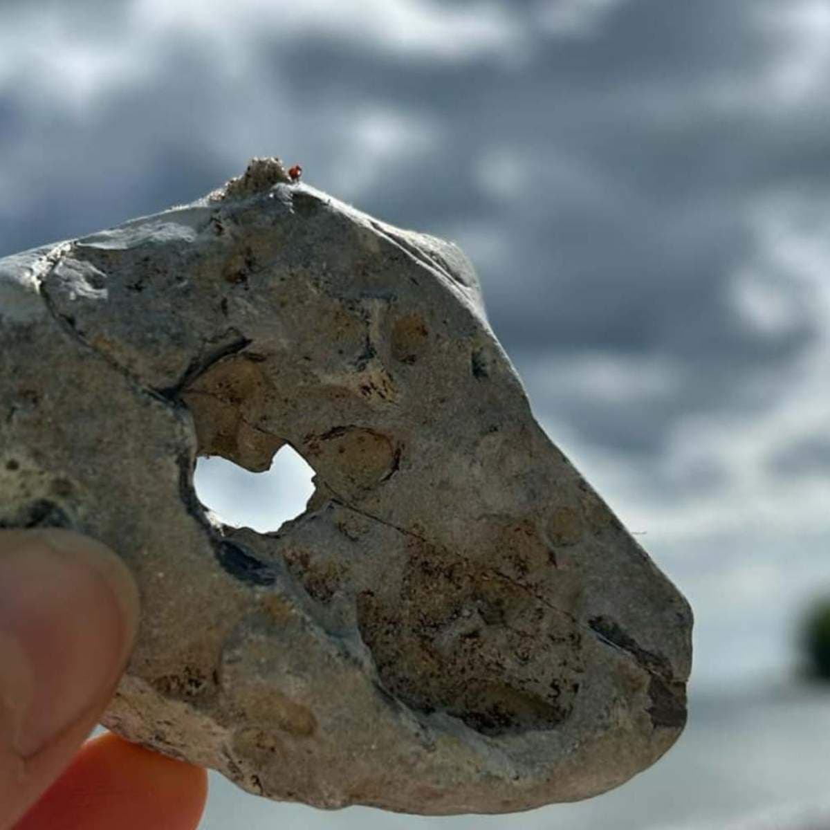 Sten med et hjerteformet hul