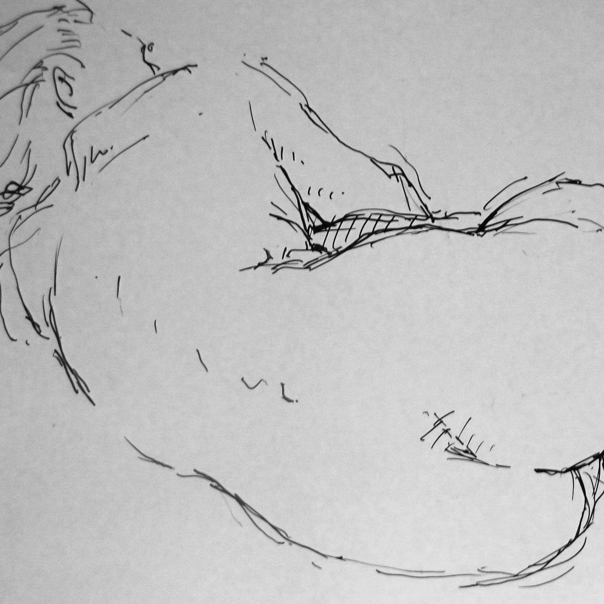 en tegning af liggende kvinde