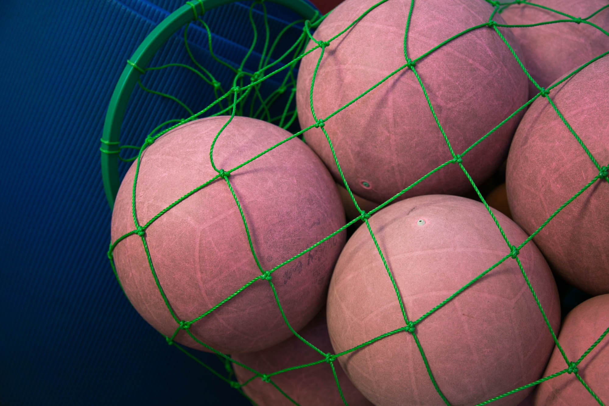 Træning i Tranehaven Gentofte