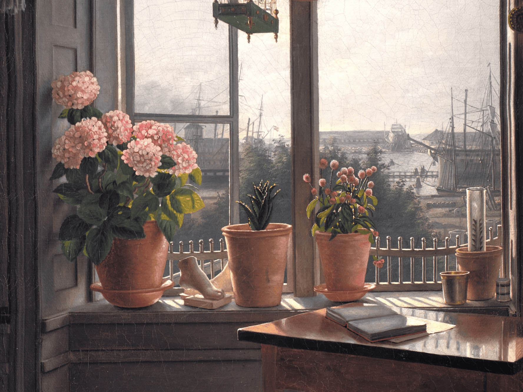 Billede af blomster i vindueskarm fra udstillingen Plantefeber – verden i vindueskarmen på Ordrupgaard