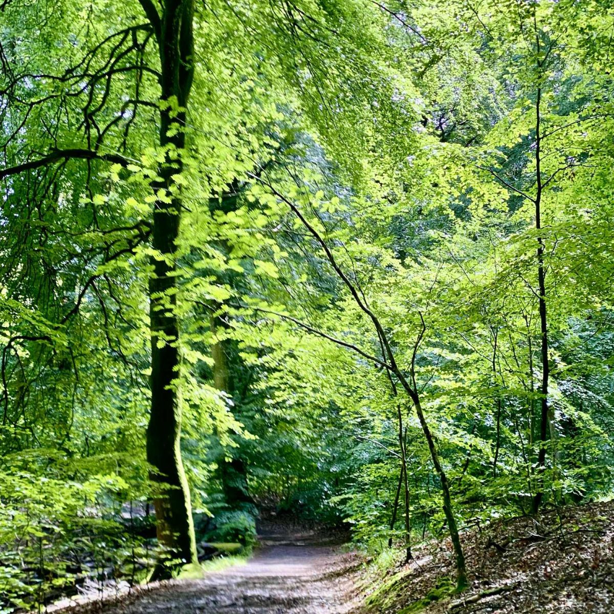 Tag en pause i naturen hos FOF Nordvestjylland