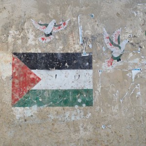 Et palæstinensisk flag med hvide fugle omkring malet på en mur