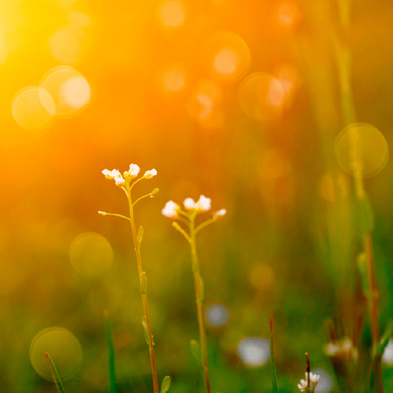 Godmorgen til krop og sind i Grenaa og Auning med FOF Djursland