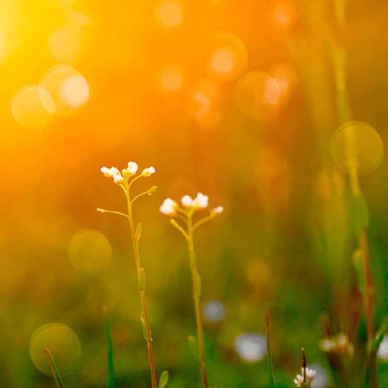 Godmorgen til krop og sind i Grenaa og Auning med FOF Djursland