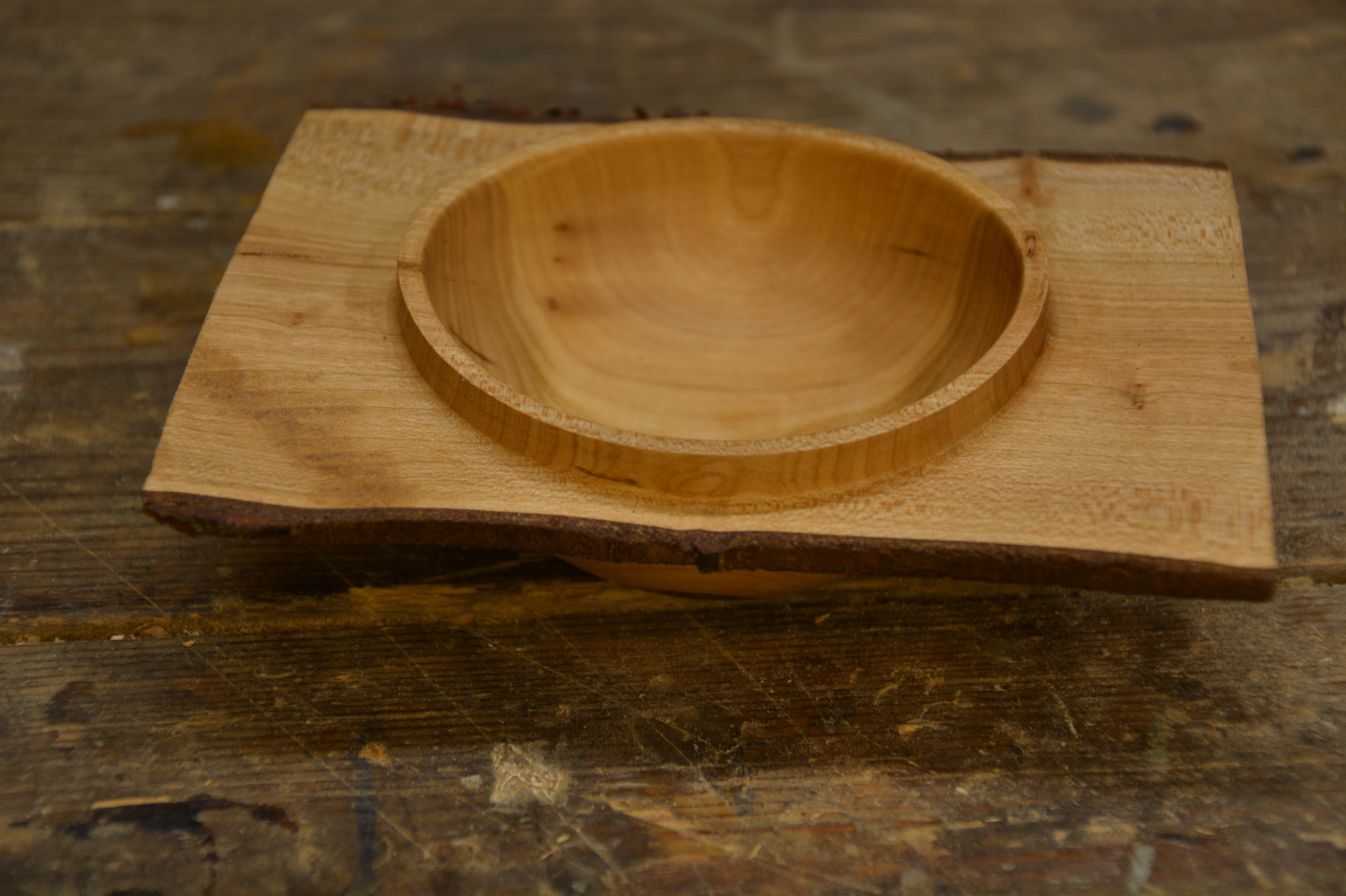 Skål i træ på kursus i trædrejning hos FOF København og Nordsjælland