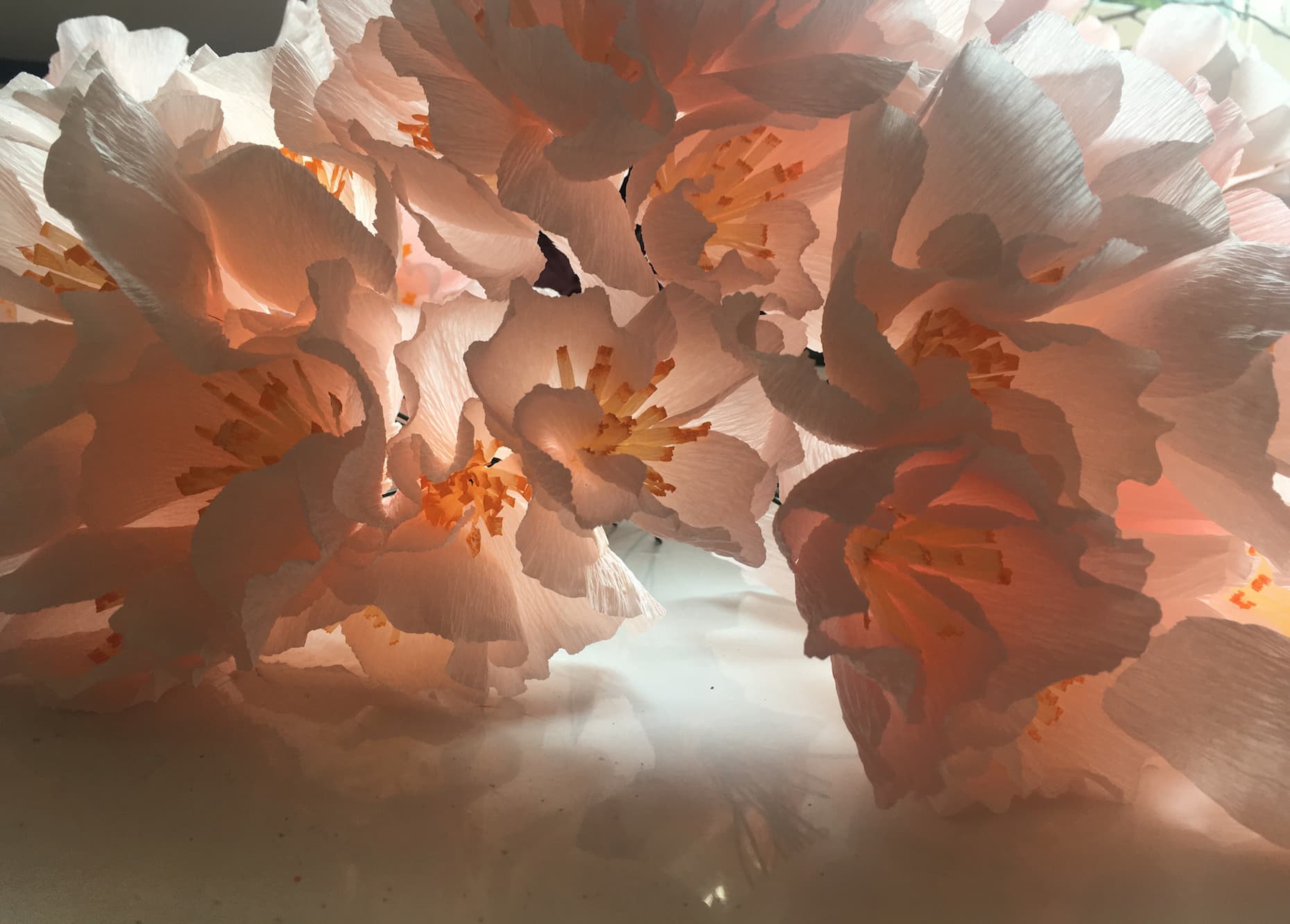 Lær at lave farverige papirblomster i crepepapir – FOF København og Nordsjælland