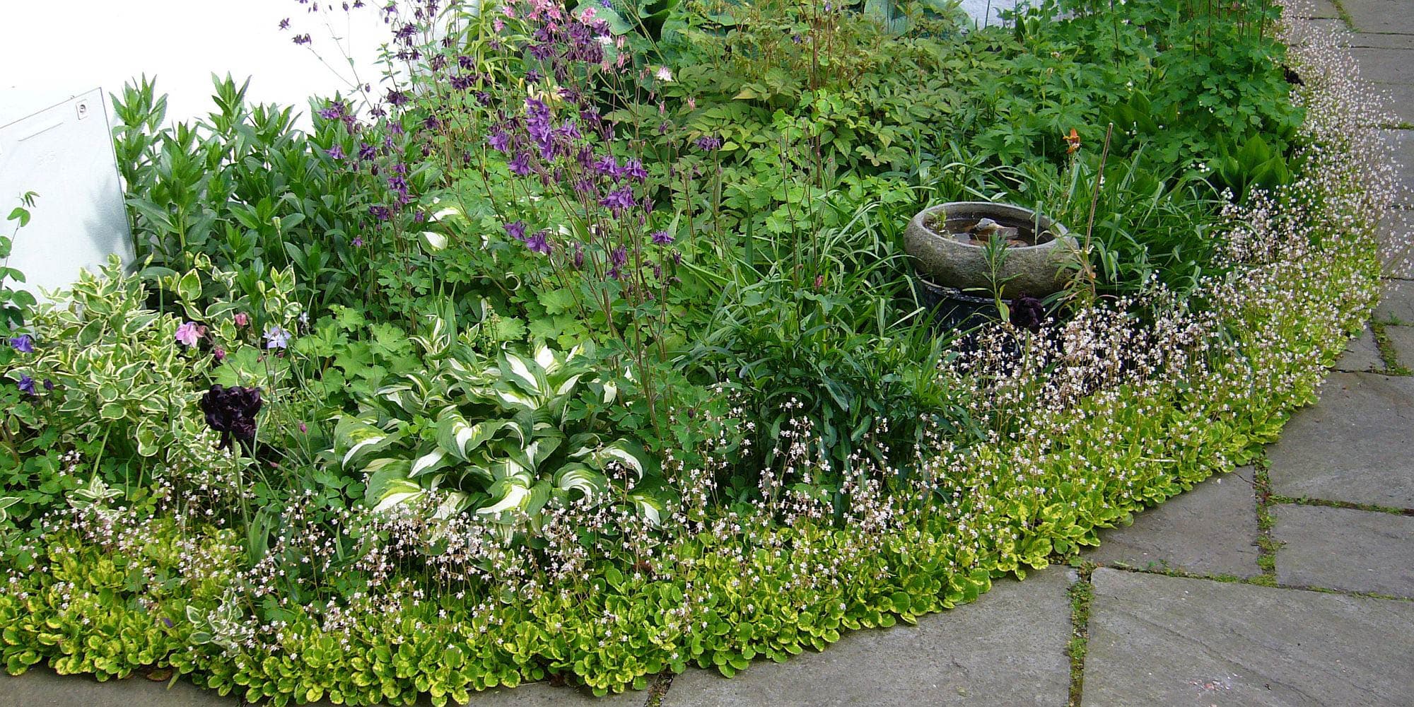 “Havearkitekt vejleder kursist i plantevalg og havedesign i frodig have.”