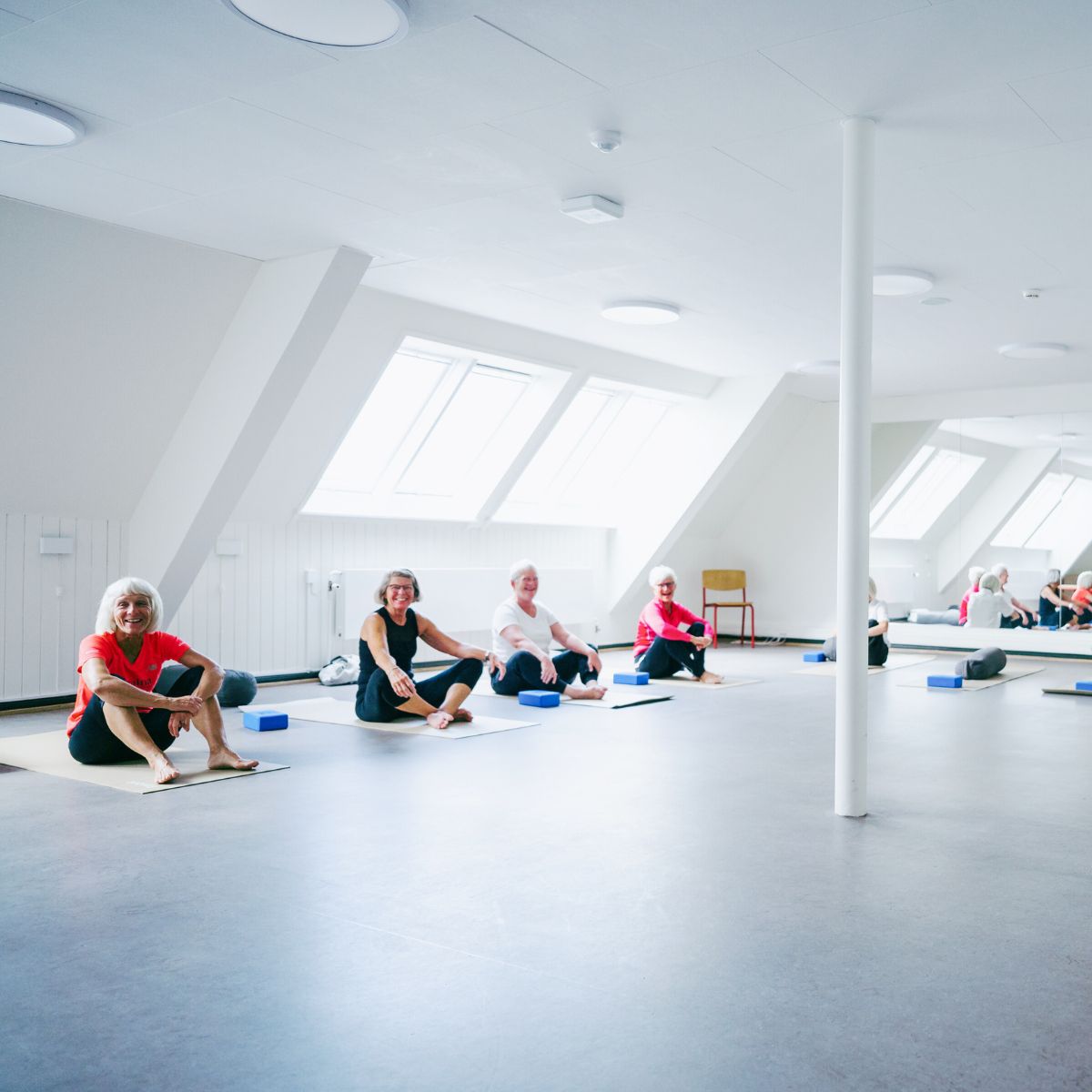 Hold dyrker Hatha Yoga