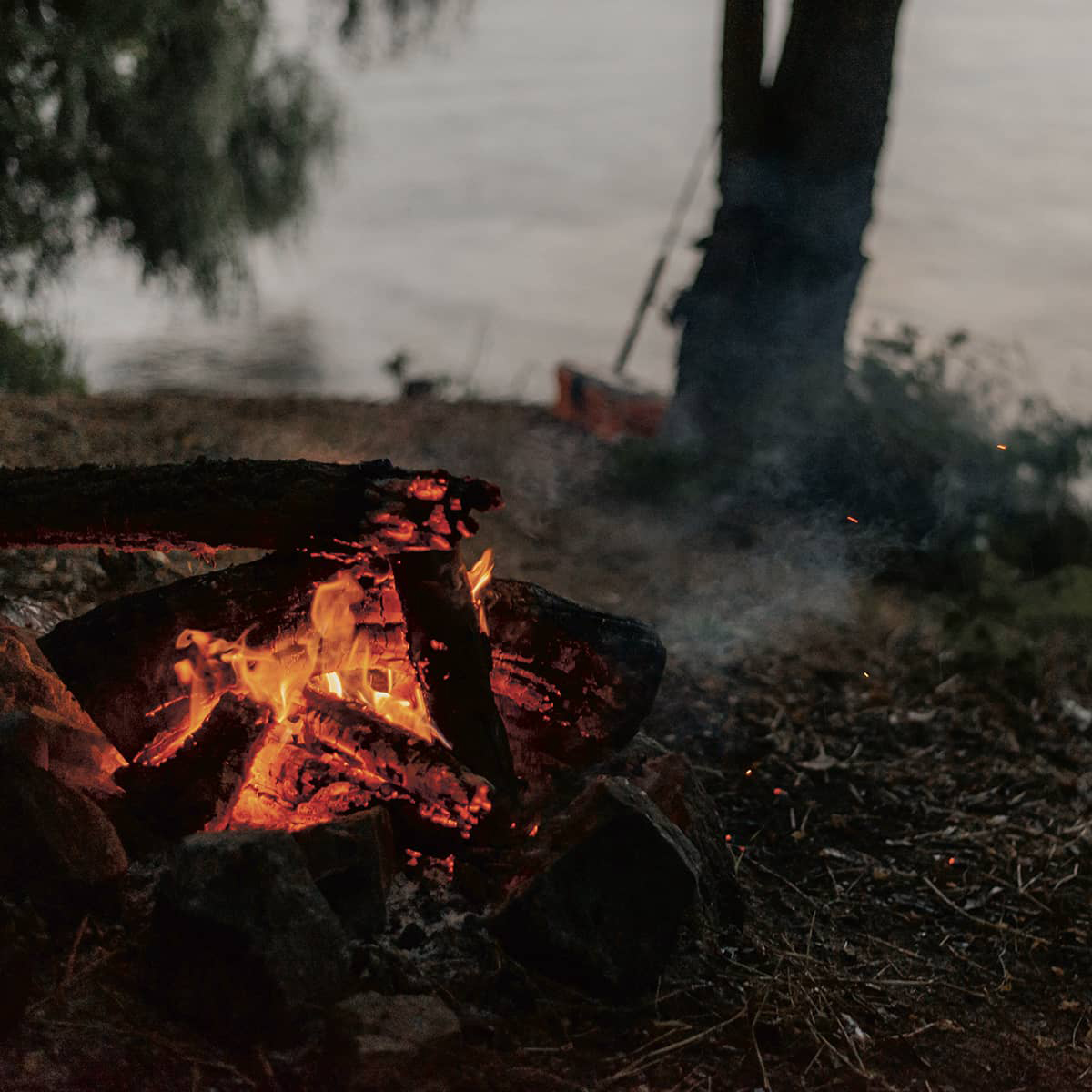 Bålbillede til årets gang i naturen, som du kan tilmelde dig til på FOF Aarhus' hjemmeside.