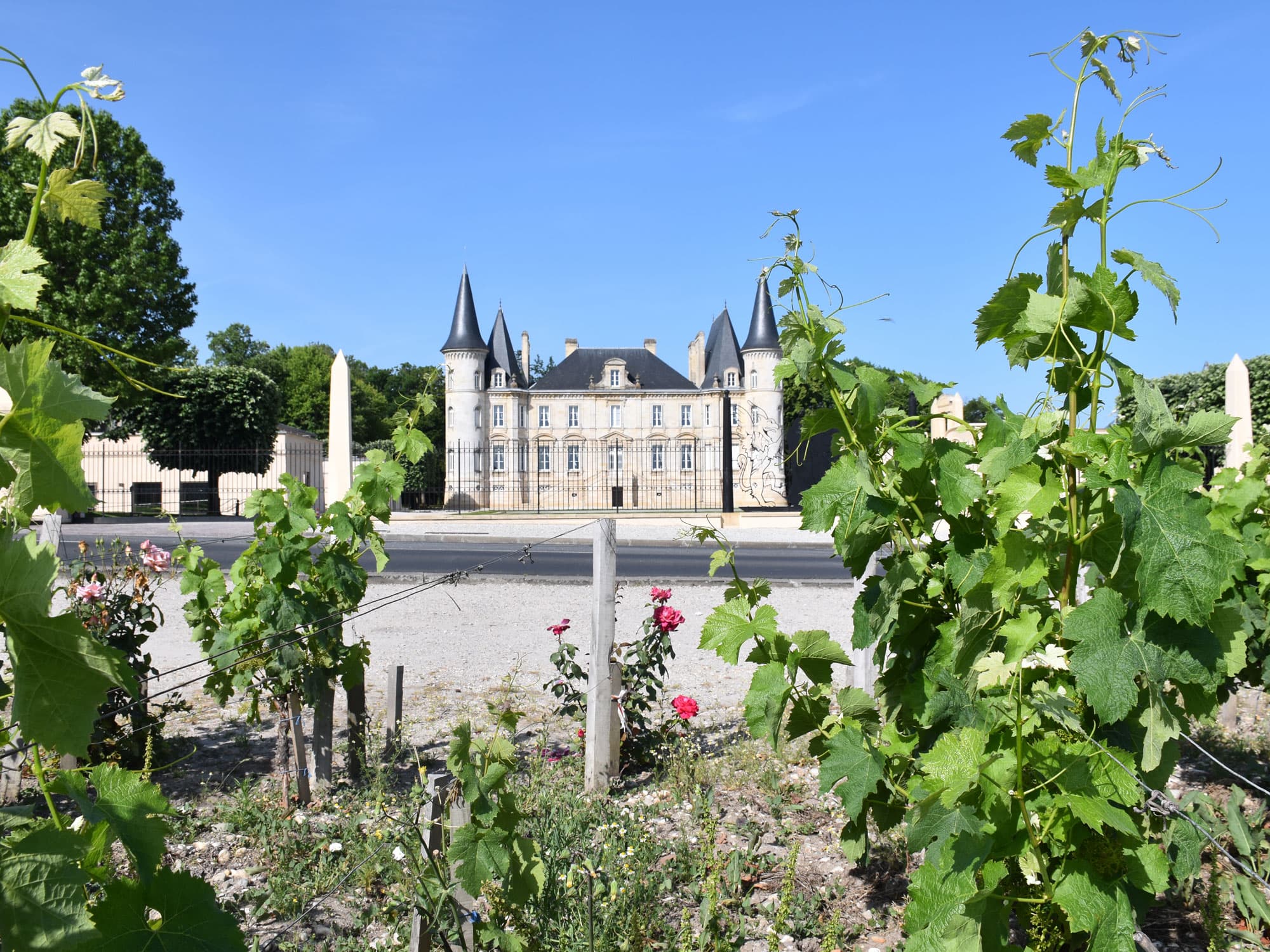 Smag store Bordeaux-vine til FOF København og Nordsjællands vinklub