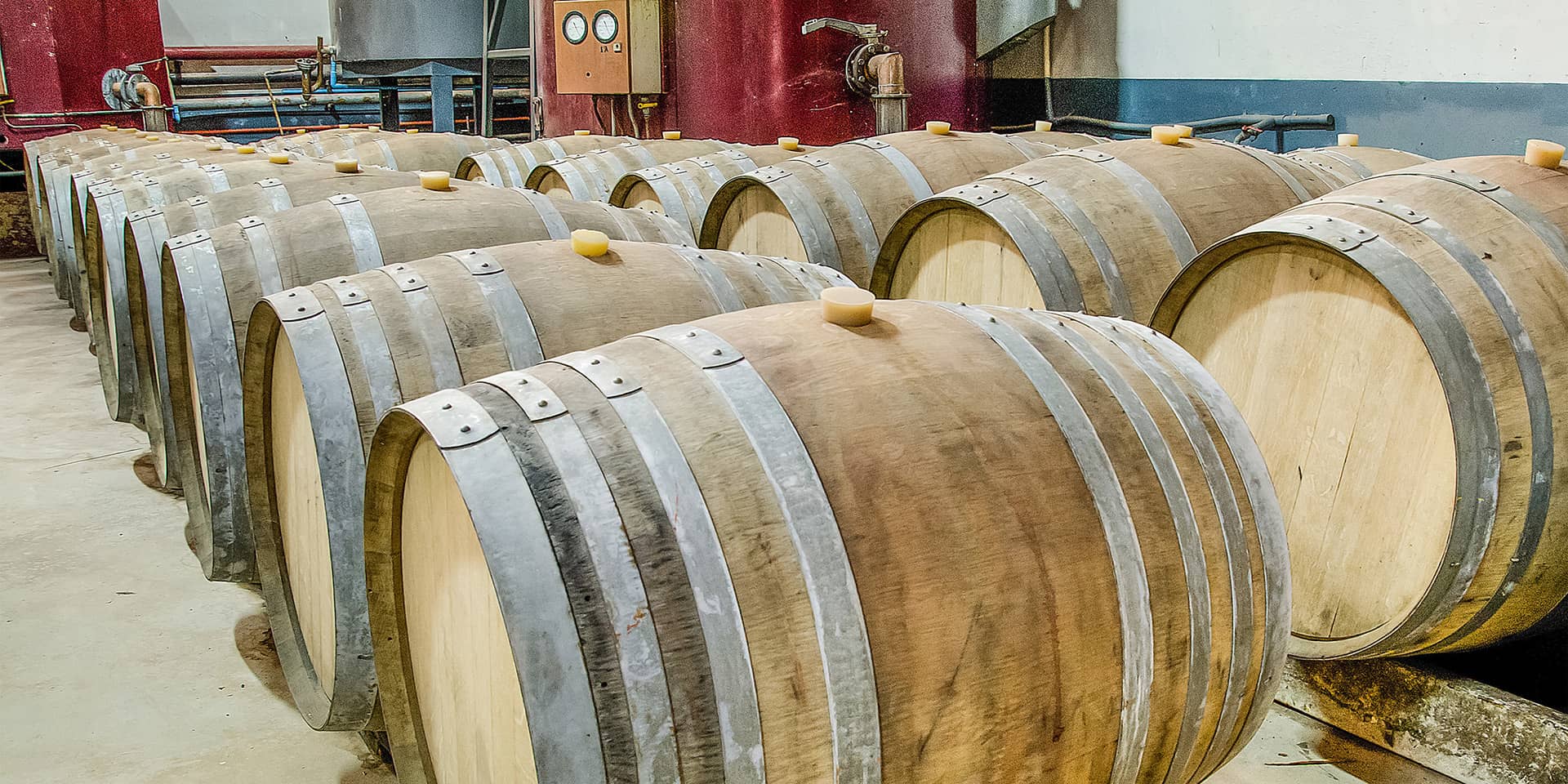 Vintønder i Frankrig. Lær fransk på kursus i FOF Aarhus