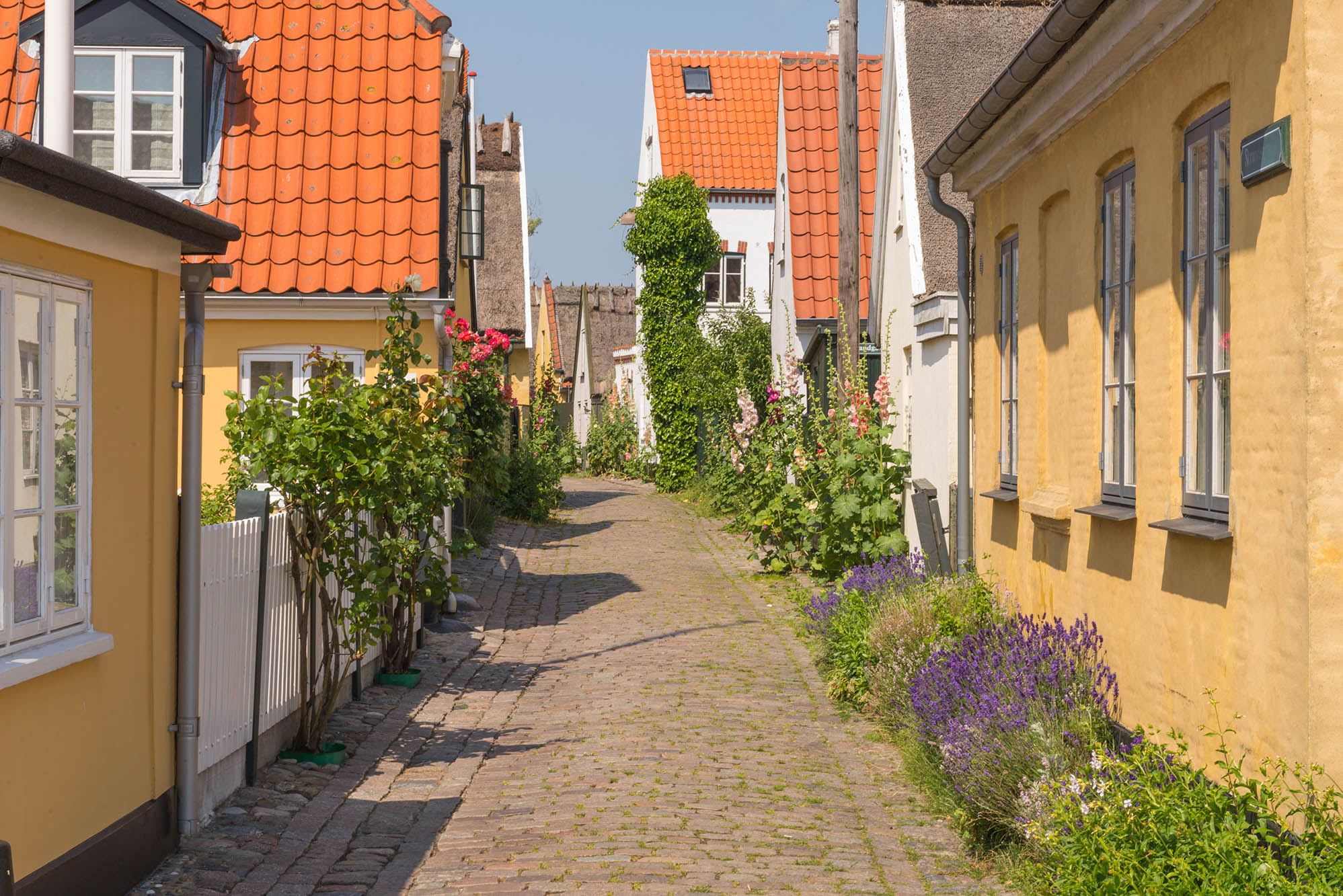 FOF København og Nordsjælland afholder kor i Dragør