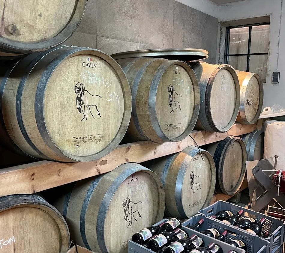 Vintønder. Vinsmagning i FOF København og Nordsjællands vinklub.