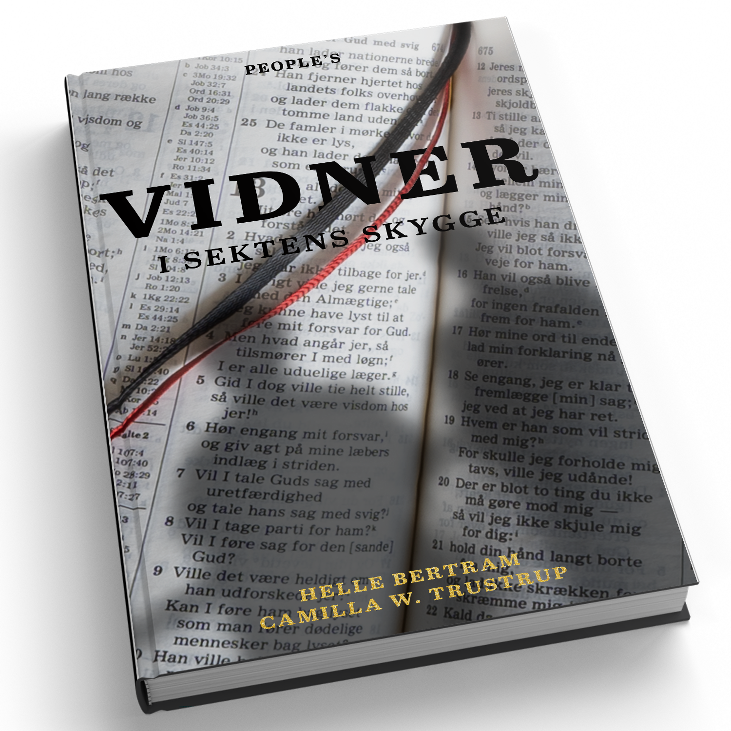 Helle Bertram: Vidner – I sekstens skygge