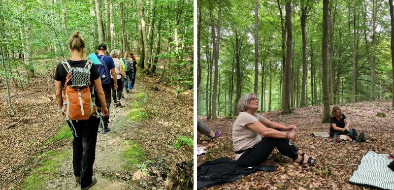 Tag med til 8 ugers meditationsforløb i Buresø med Naturmeditation i skoven